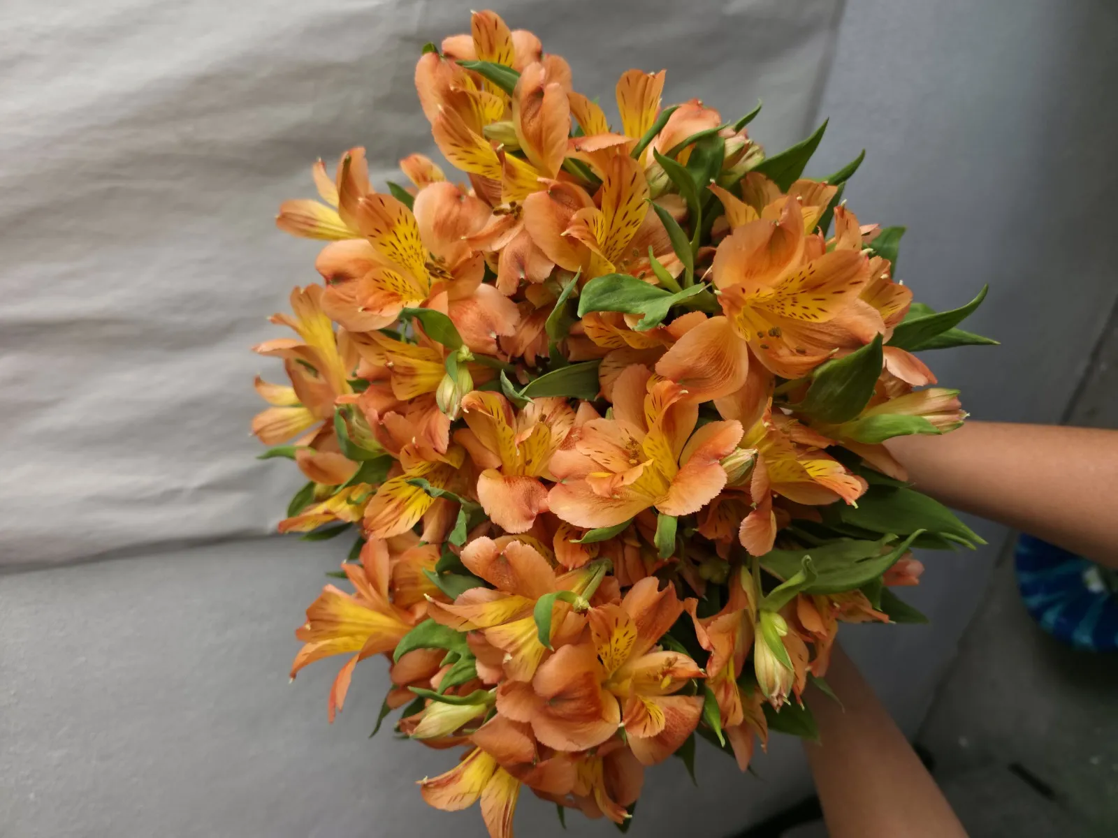 Otra foto