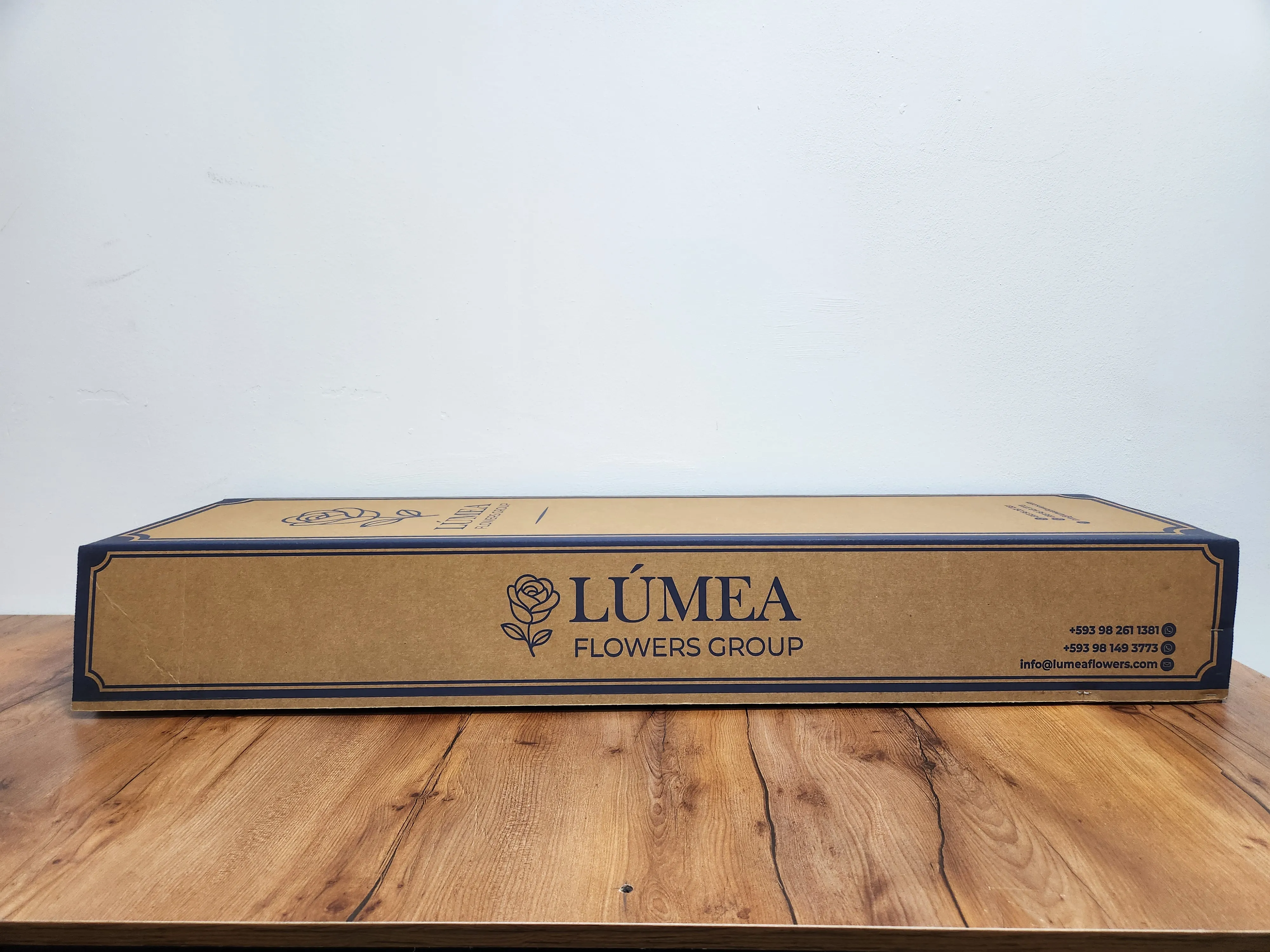 Caja 1
