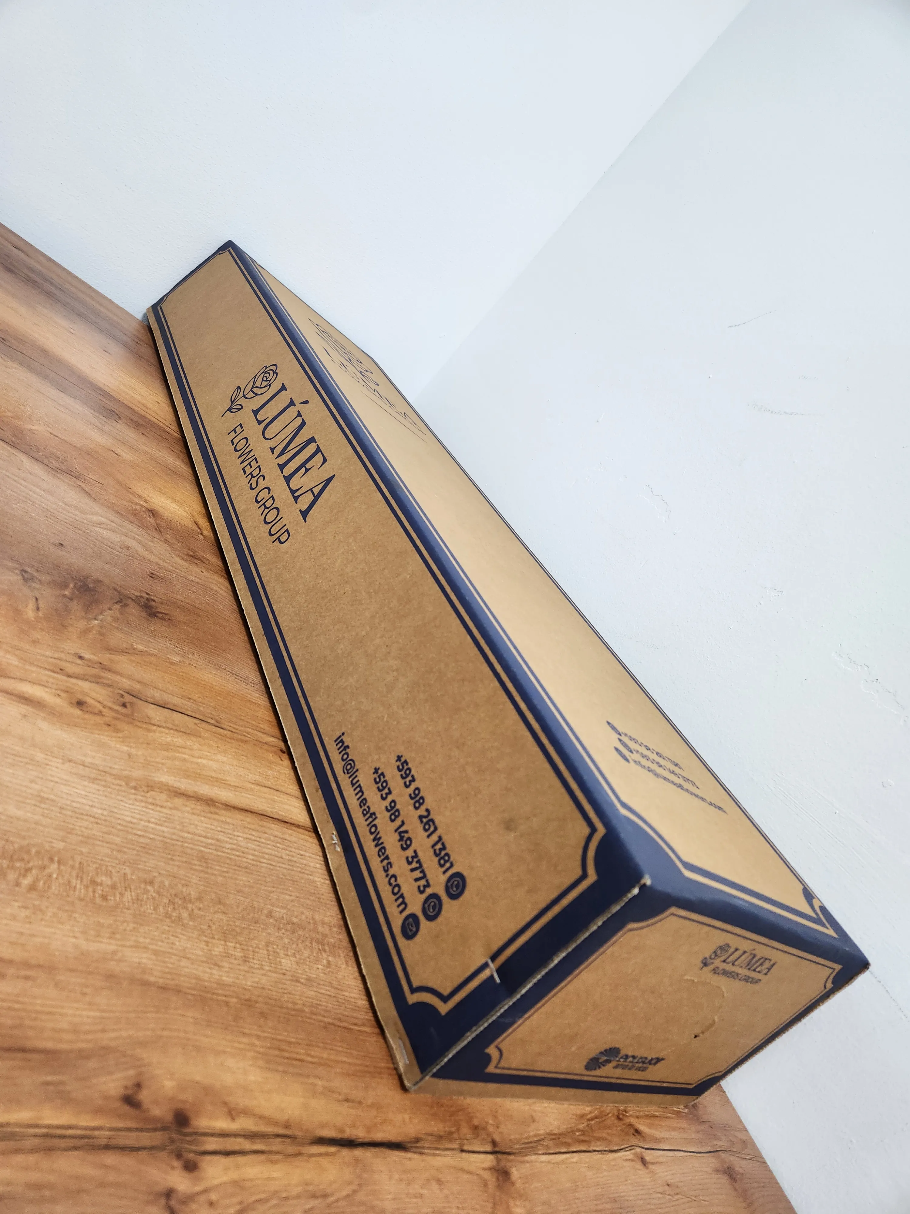 Caja 3