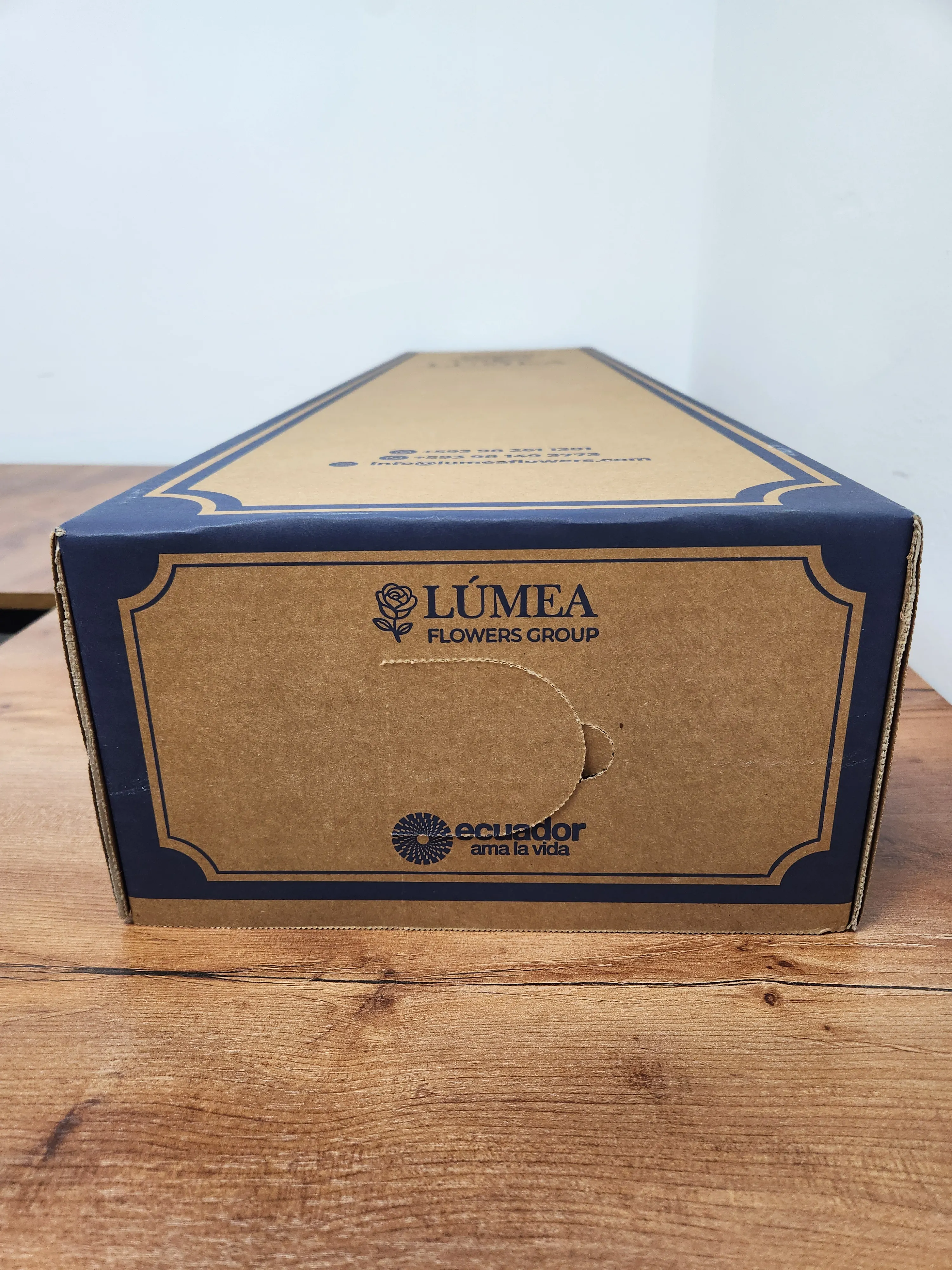 Caja 4