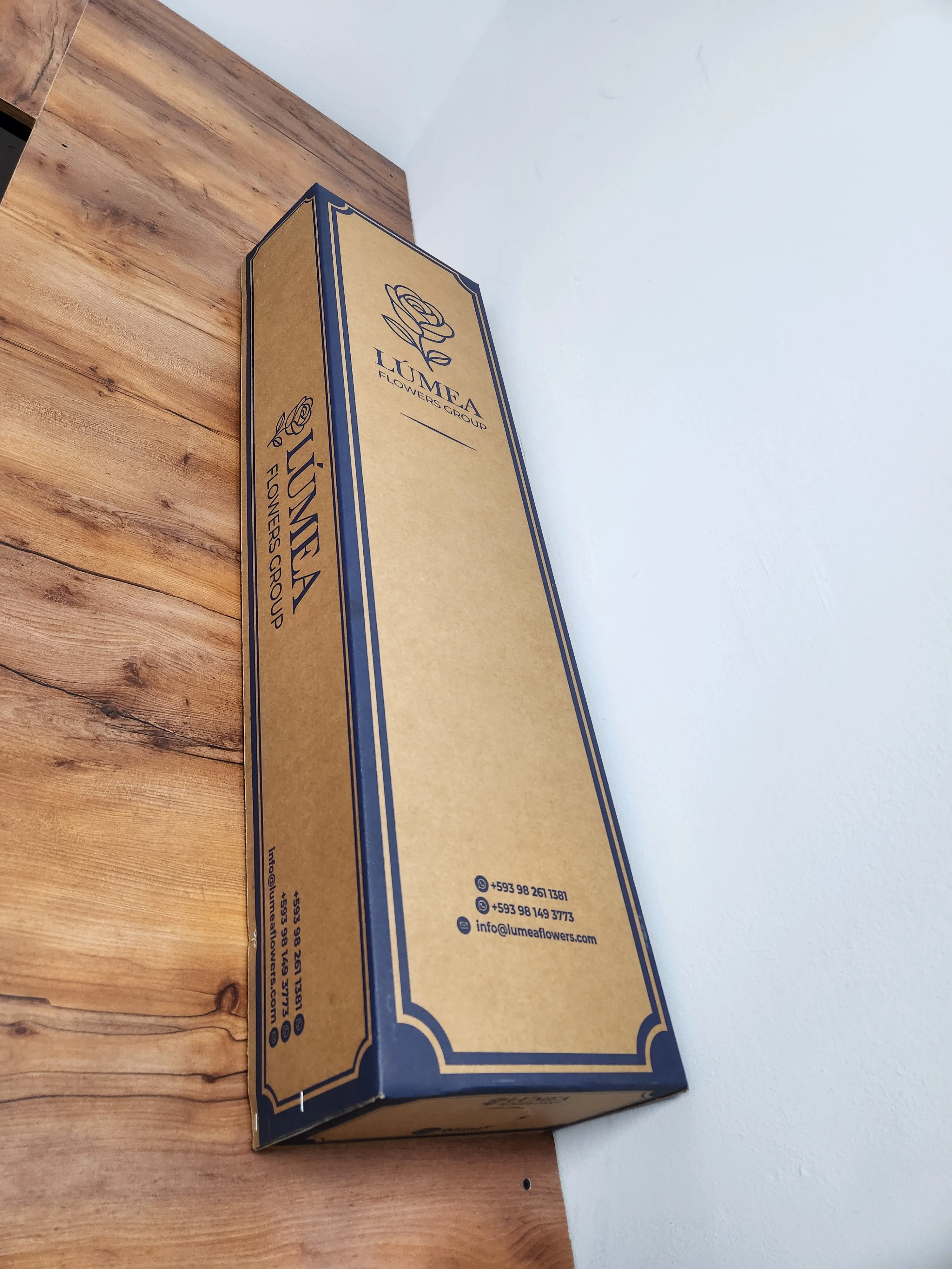 Caja 5